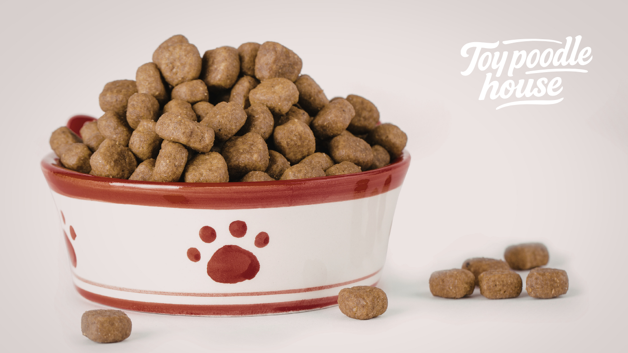 Loss of Appetite in Poodles